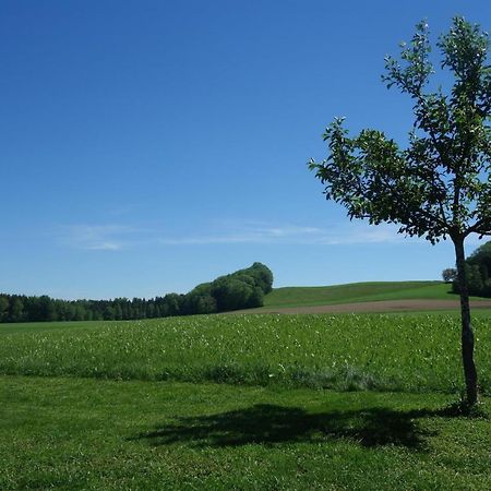 Ferienwohnung Katzheim Schlier ภายนอก รูปภาพ