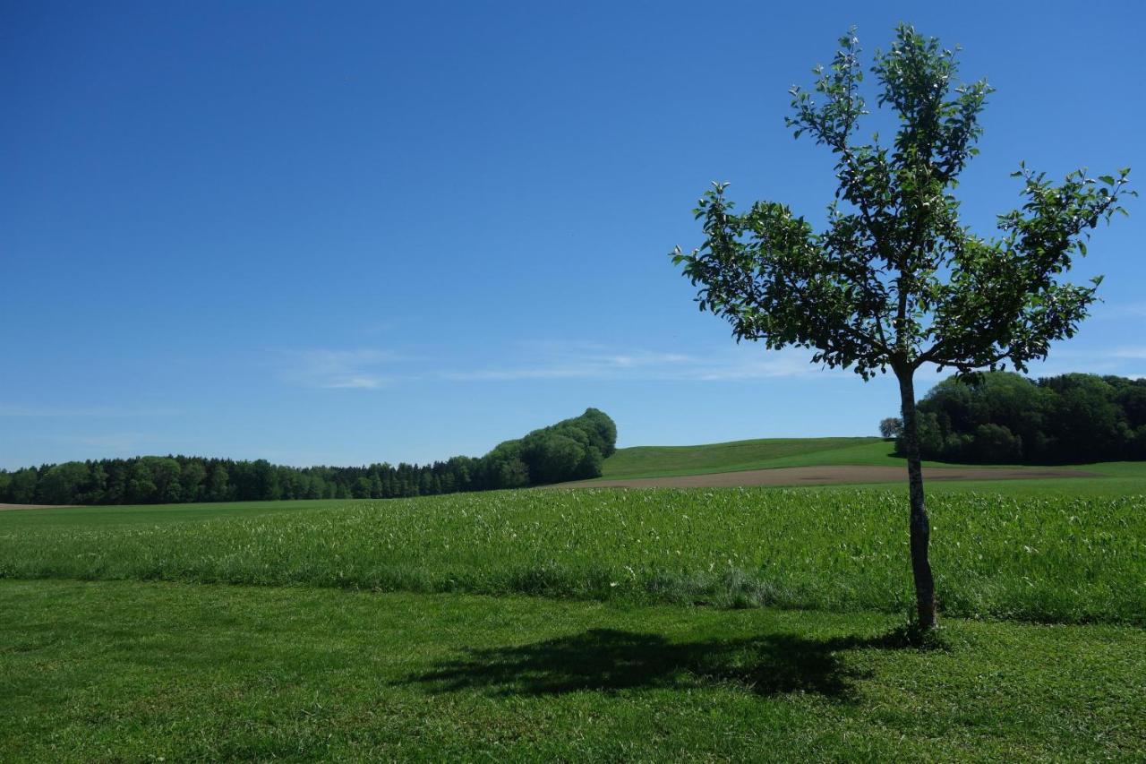 Ferienwohnung Katzheim Schlier ภายนอก รูปภาพ